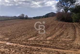 Turgutlu Dağyeni köyde 7 Dönüm Tarla - 2 - 311885