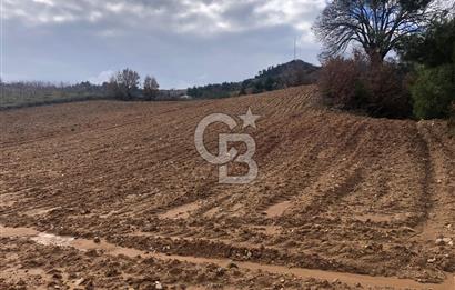 Turgutlu Dağyeni köyde 7 Dönüm Tarla