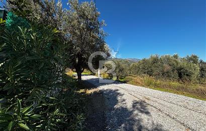 GÜRE AĞAÇLI YOLDA MÜSTAKİL BAHÇELİ 3+1 VİLLA SATILIK