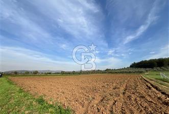 MENDERES ÇAKALTEPE'DE KÖYE YAKIN TEK TAPULU TARLA - 7 - 311934