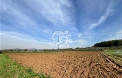 MENDERES ÇAKALTEPE'DE KÖYE YAKIN TEK TAPULU TARLA