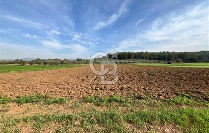 MENDERES ÇAKALTEPE'DE KÖYE YAKIN TEK TAPULU TARLA