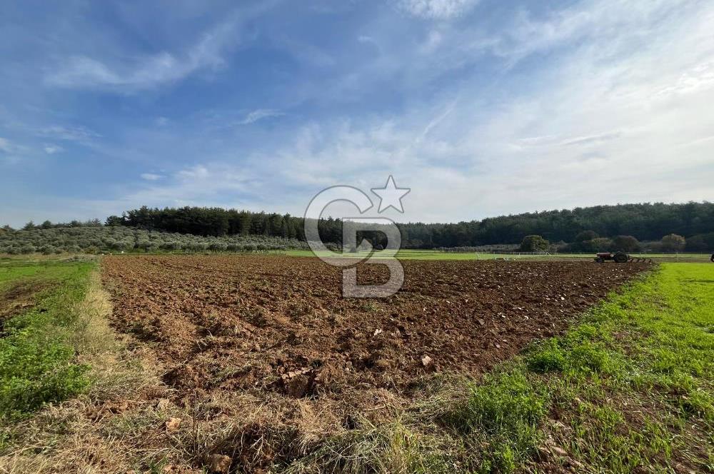 MENDERES ÇAKALTEPE'DE KÖYE YAKIN TEK TAPULU TARLA