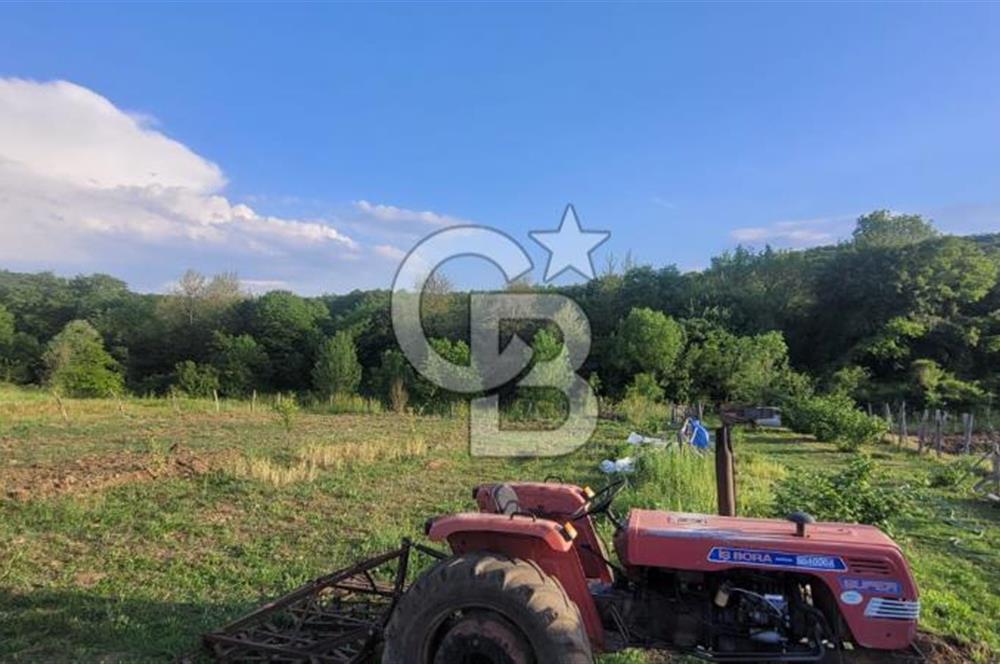 Kandıra Sarnıçlar Gürgenlik Mevkiinde 380 m2 Satılık Bahçe