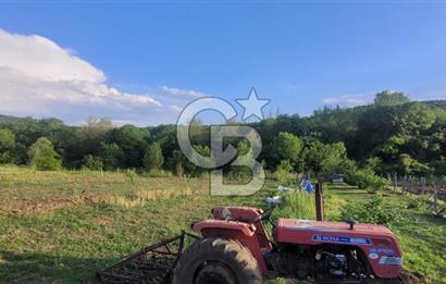 Kandıra Sarnıçlar Gürgenlik Mevkiinde 380 m2 Satılık Bahçe