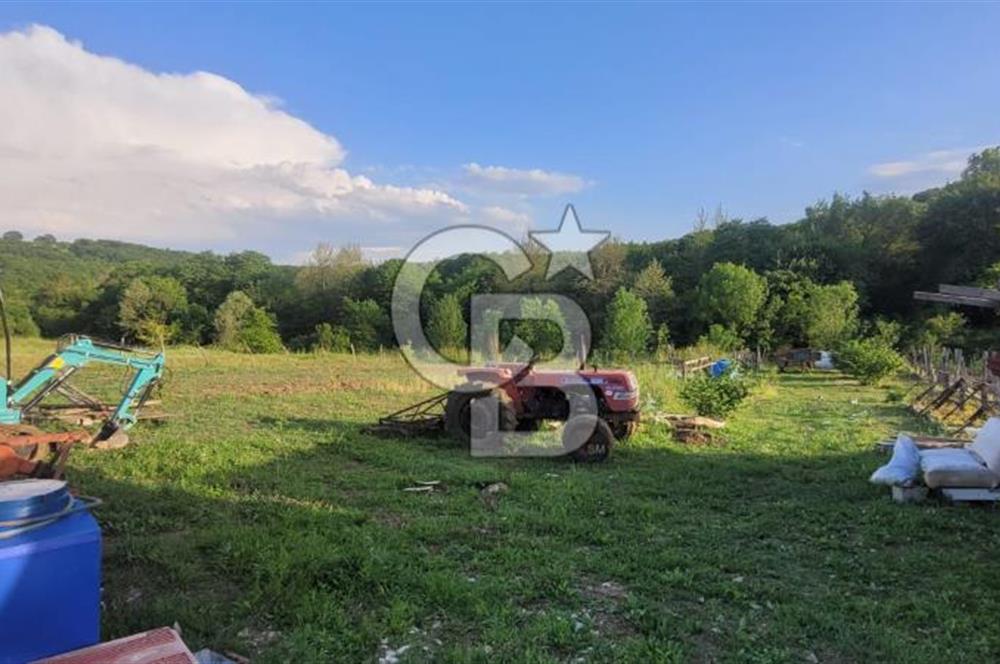 Kandıra Sarnıçlar Gürgenlik Mevkiinde 380 m2 Satılık Bahçe