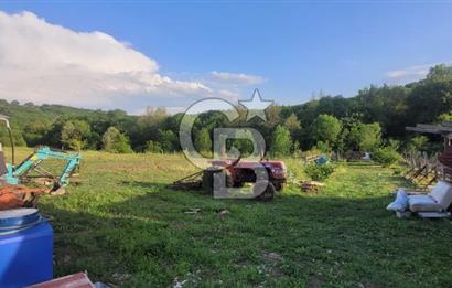 Kandıra Sarnıçlar Gürgenlik Mevkiinde 380 m2 Satılık Bahçe