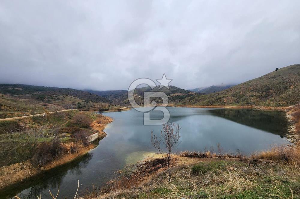 BİLECİK SÖĞÜT BORCAK KÖY İÇİ İMARLI GÖLE 200 METRE SATILIK ARSA