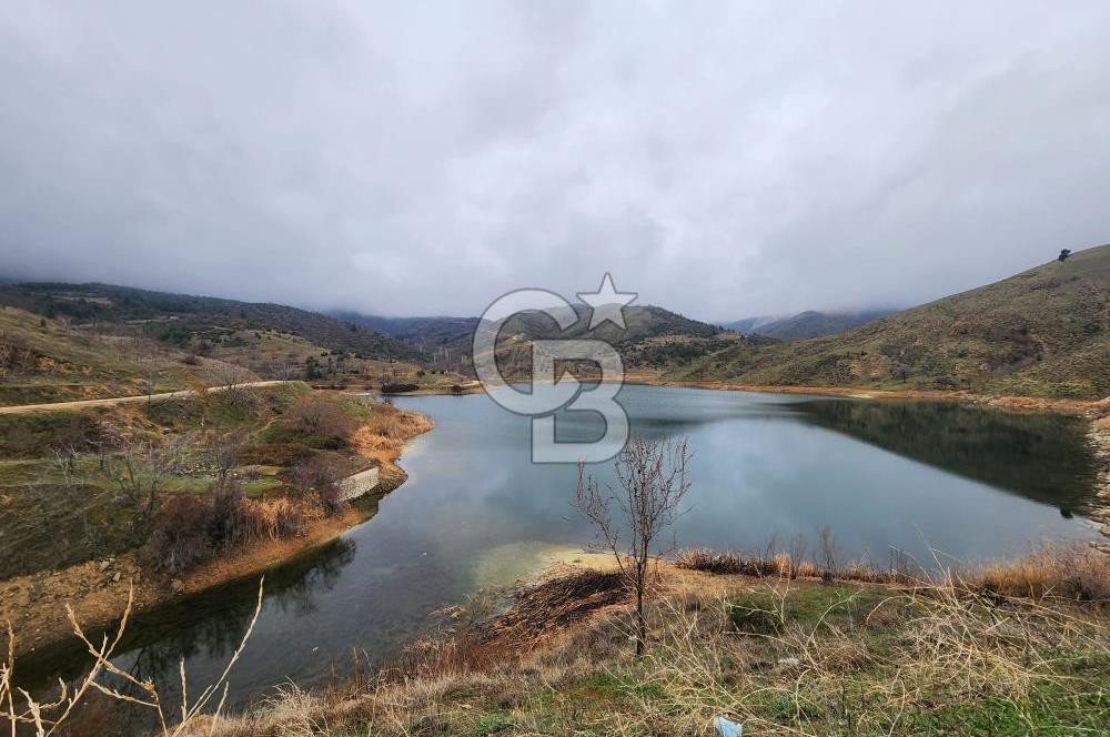 BİLECİK SÖĞÜT BORCAK KÖY İÇİ İMARLI GÖLE 200 METRE SATILIK ARSA