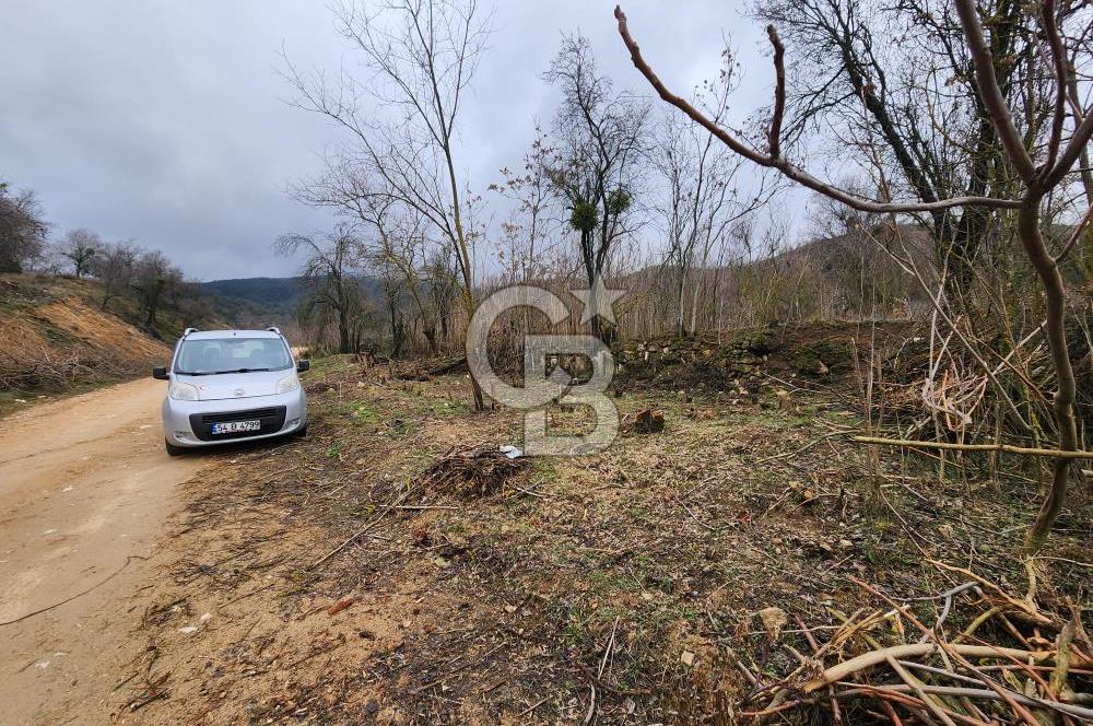 BİLECİK SÖĞÜT BORCAK KÖY İÇİ İMARLI GÖLE 200 METRE SATILIK ARSA