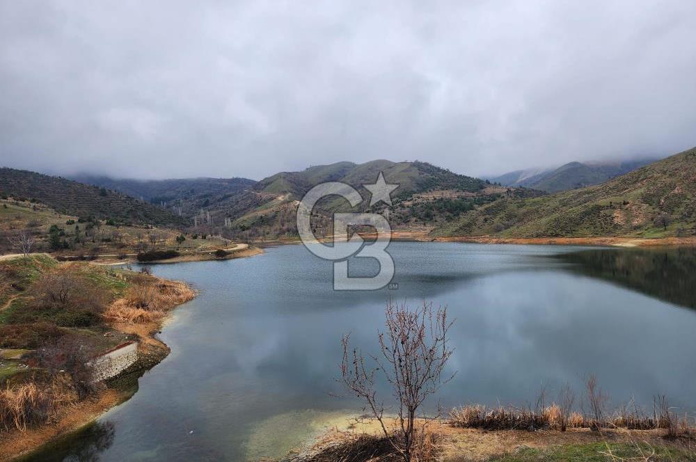 BİLECİK SÖĞÜT BORCAK KÖY İÇİ İMARLI GÖLE 200 METRE SATILIK ARSA