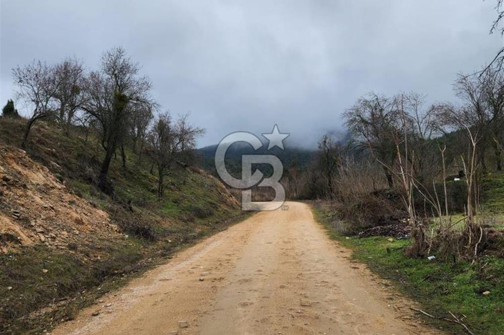 BİLECİK SÖĞÜT BORCAK KÖY İÇİ İMARLI GÖLE 200 METRE SATILIK ARSA