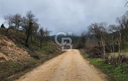BİLECİK SÖĞÜT BORCAK KÖY İÇİ İMARLI GÖLE 200 METRE SATILIK ARSA