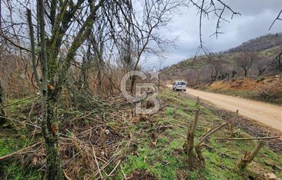 BİLECİK SÖĞÜT BORCAK KÖY İÇİ İMARLI GÖLE 200 METRE SATILIK ARSA