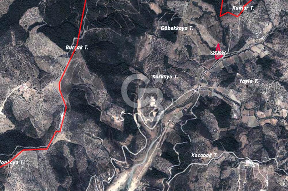 Seferihisar Beyler Köyünde Kadastral Yolu Olan Zeytinlik