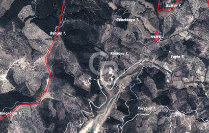 Seferihisar Beyler Köyünde Kadastral Yolu Olan Zeytinlik