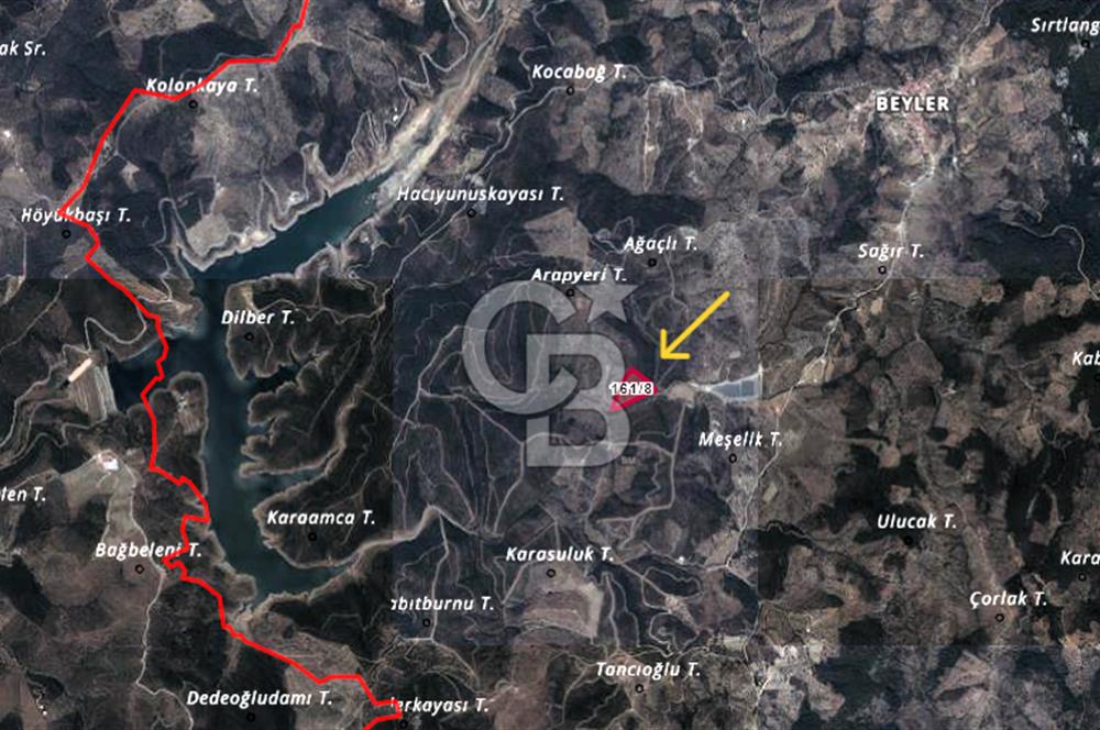 Seferihisar Beyler Köyünde Ormana Komşu Zeytinlik