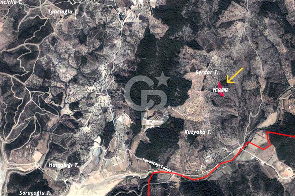 Seferihisar Beyler Köyünde 2112m² Zeytinlik