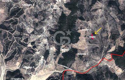 Seferihisar Beyler Köyünde 2112m² Zeytinlik