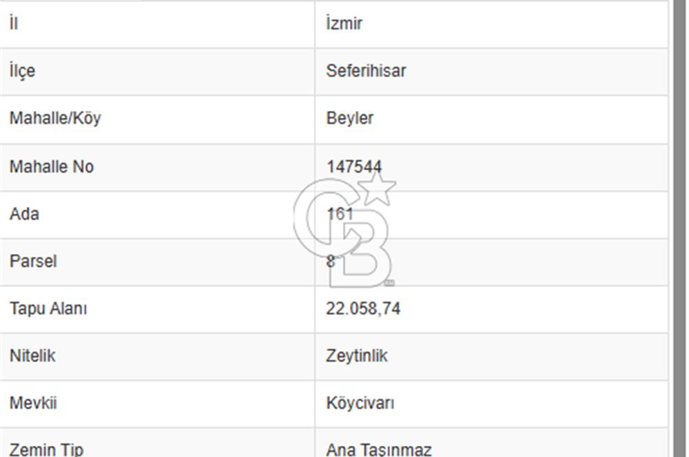 Seferihisar Beyler Köyünde Ormana Komşu Zeytinlik