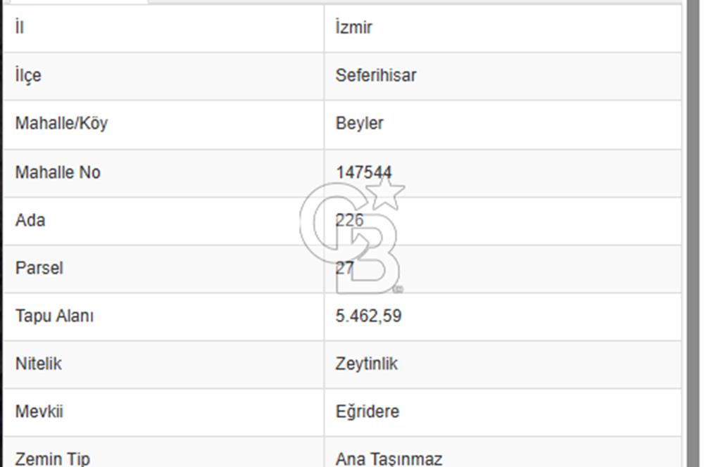 Seferihisar Beyler Köyünde Kadastral Yolu Olan Zeytinlik