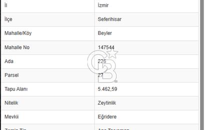 Seferihisar Beyler Köyünde Kadastral Yolu Olan Zeytinlik
