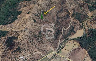 Seferihisar Beyler Köyünde 2112m² Zeytinlik