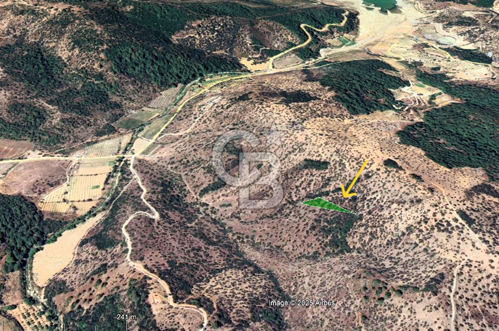 Seferihisar Beyler Köyünde 2112m² Zeytinlik