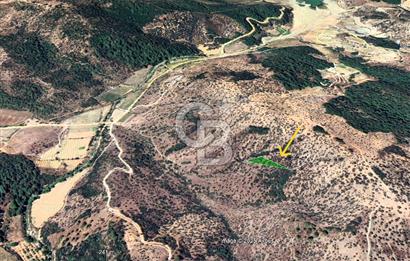 Seferihisar Beyler Köyünde 2112m² Zeytinlik