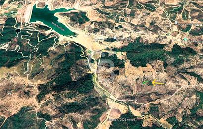 Seferihisar Beyler Köyünde 2112m² Zeytinlik