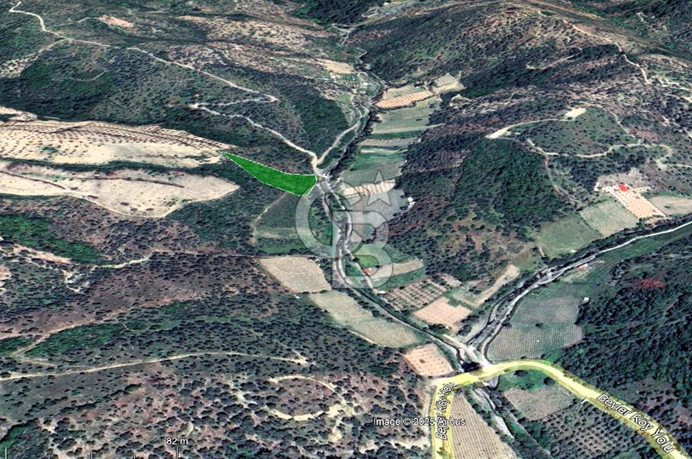 Seferihisar Beyler Köyünde Kadastral Yolu Olan Zeytinlik