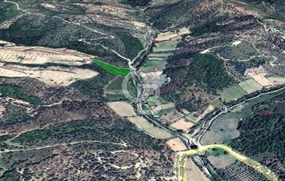 Seferihisar Beyler Köyünde Kadastral Yolu Olan Zeytinlik