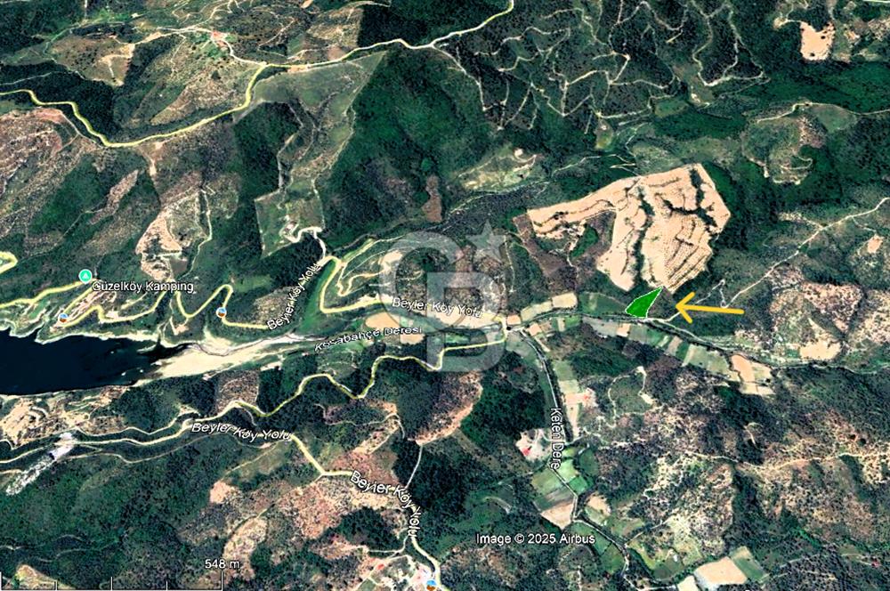 Seferihisar Beyler Köyünde Kadastral Yolu Olan Zeytinlik