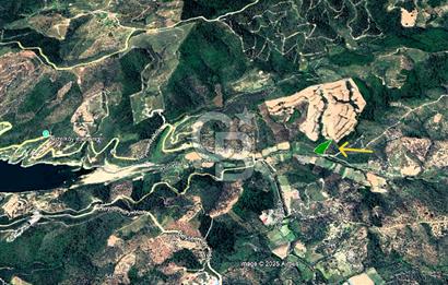 Seferihisar Beyler Köyünde Kadastral Yolu Olan Zeytinlik