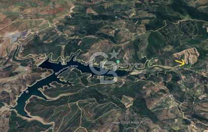 Seferihisar Beyler Köyünde Kadastral Yolu Olan Zeytinlik