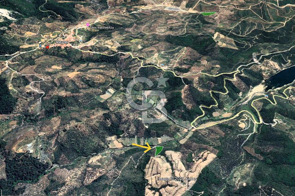 Seferihisar Beyler Köyünde Kadastral Yolu Olan Zeytinlik