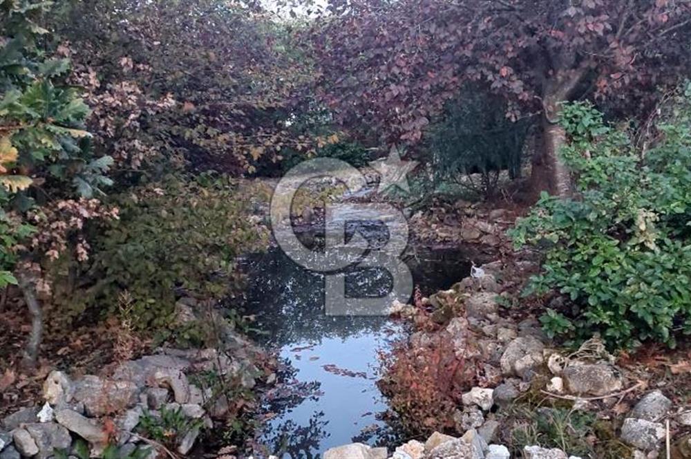 Çekmeköy Reşadiye Mahallesi 6+2 Doğa Manzaralı Satılık Villa