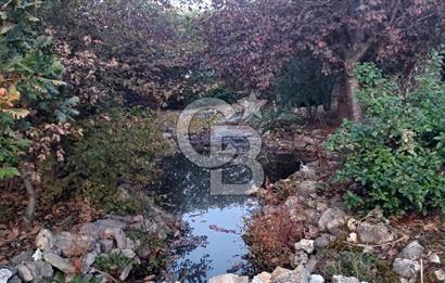 Çekmeköy Reşadiye Mahallesi 6+2 Doğa Manzaralı Satılık Villa