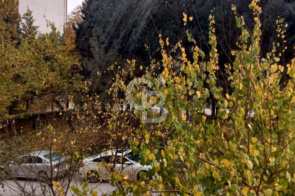 CB CITY'DEN GÖKMEYDAN MAH SARMAŞIKLI SOKAK'TA SATLIIK 3+1 DAİRE