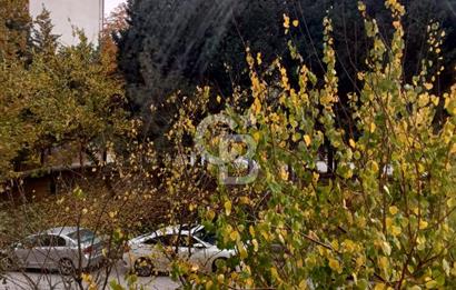 CB CITY'DEN GÖKMEYDAN MAH SARMAŞIKLI SOKAK'TA SATLIIK 3+1 DAİRE