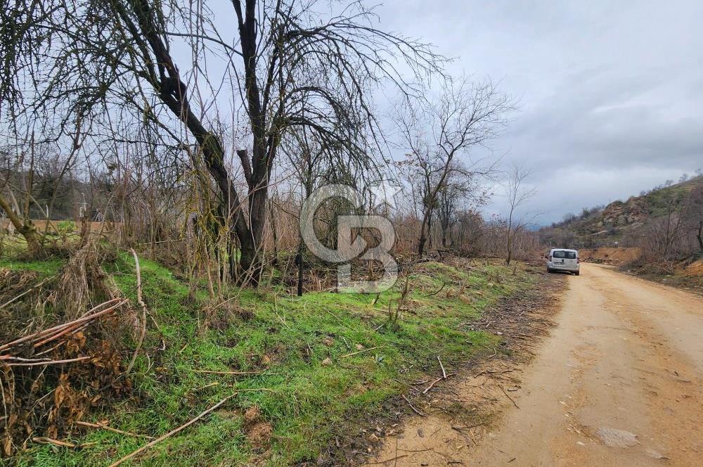 BİLECİK SÖĞÜT BORCAK KÖY İÇİ İMARLI GÖLE 200 METRE SATILIK ARSA