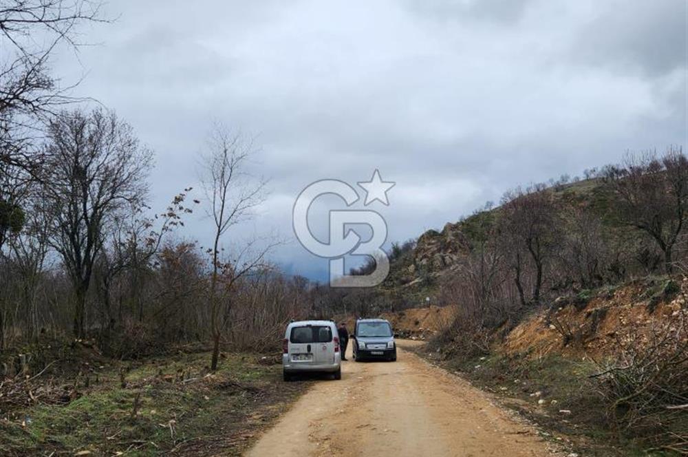 BİLECİK SÖĞÜT BORCAK KÖY İÇİ İMARLI GÖLE 200 METRE SATILIK ARSA