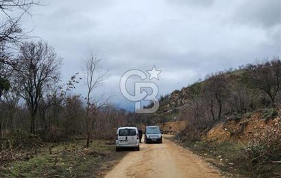 BİLECİK SÖĞÜT BORCAK KÖY İÇİ İMARLI GÖLE 200 METRE SATILIK ARSA