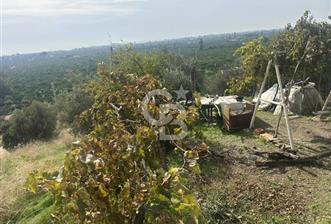 GÜMÜLDÜR'DE EŞSİZ DENİZ MANZARALI TEK PARSEL SATILIK ARSA - 1 - 311949