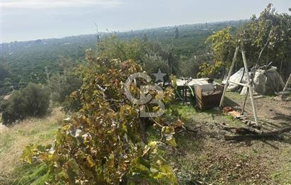 GÜMÜLDÜR'DE EŞSİZ DENİZ MANZARALI TEK PARSEL SATILIK ARSA