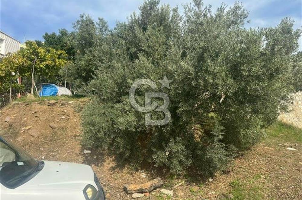 GÜMÜLDÜR'DE EŞSİZ DENİZ MANZARALI TEK PARSEL SATILIK ARSA