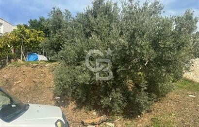 GÜMÜLDÜR'DE EŞSİZ DENİZ MANZARALI TEK PARSEL SATILIK ARSA