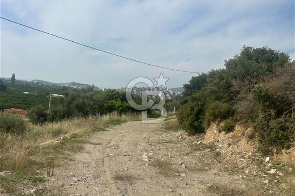 GÜMÜLDÜR'DE EŞSİZ DENİZ MANZARALI TEK PARSEL SATILIK ARSA