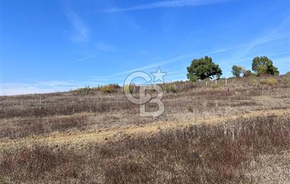 YALOVA ALTINOVA FEVZİYE KÖYÜ KADASTRO YOL CEPHELİ SATILIK TARLA