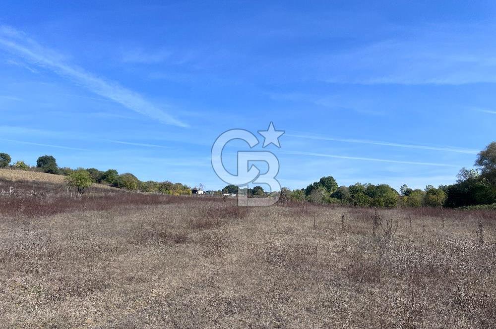 YALOVA ALTINOVA FEVZİYE KÖYÜ KADASTRO YOL CEPHELİ SATILIK TARLA